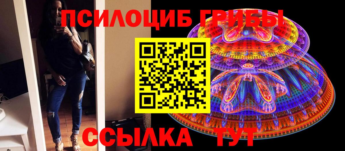 Псилоцибиновые грибы Psilocybine cubensis  Вход с VPN  Барабинск 