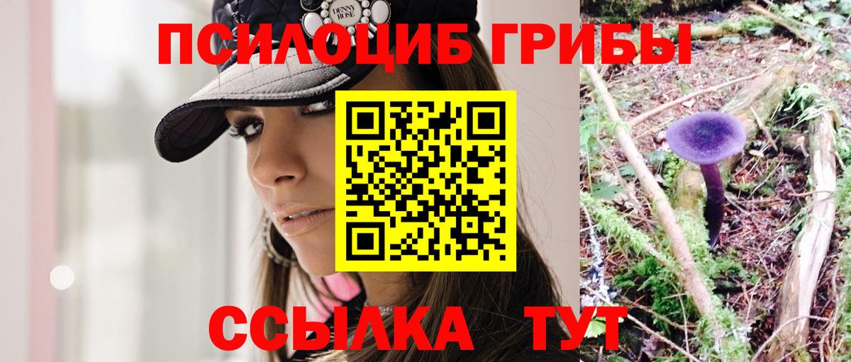 Псилоцибиновые грибы GOLDEN TEACHER Барабинск